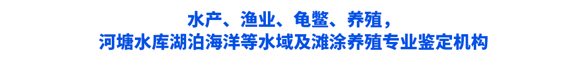 百乐门·(中国)游戏官方网站